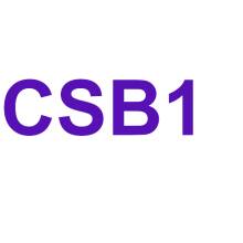CSB1