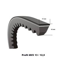 Profil AVX13