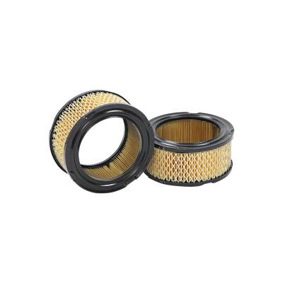 Luftfilter ersetzt Briggs & Stratton 392286