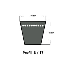 PIX-Xset® B96 - 17 x 2438 Li, Keilriemen, klassisch