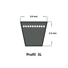 Pix Keilriemen LawnMaster® 3L 255 K
