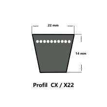 Strongbelt Keilriemen CX79 - 22 x 2058 Lp, flankenoffen formgezahnt