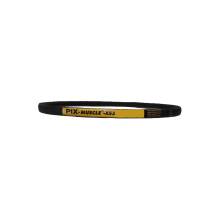 PIX-Muscle®-XS3 SPA 2832 Lw,...