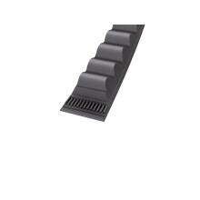 Continental Conti®VX Advance XPB 1700 Lw, Hochleistungs-Schmalkeilriemen flankenoffen, formgezahnt