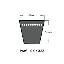 Continental Conti®VX CX38 - 22 x 1024 Ld, Keilriemen, , flankenoffen formgezahnt